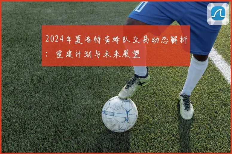 2024年夏洛特黄蜂队交易动态解析：重建计划与未来展望